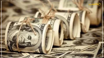 هدوء حذر.. سعر الدولار يستقر عند هذا المستوى اليوم الجمعة 3 أكتوبر 2025 1